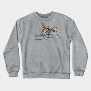 Army ant Crewneck Sweatshirt